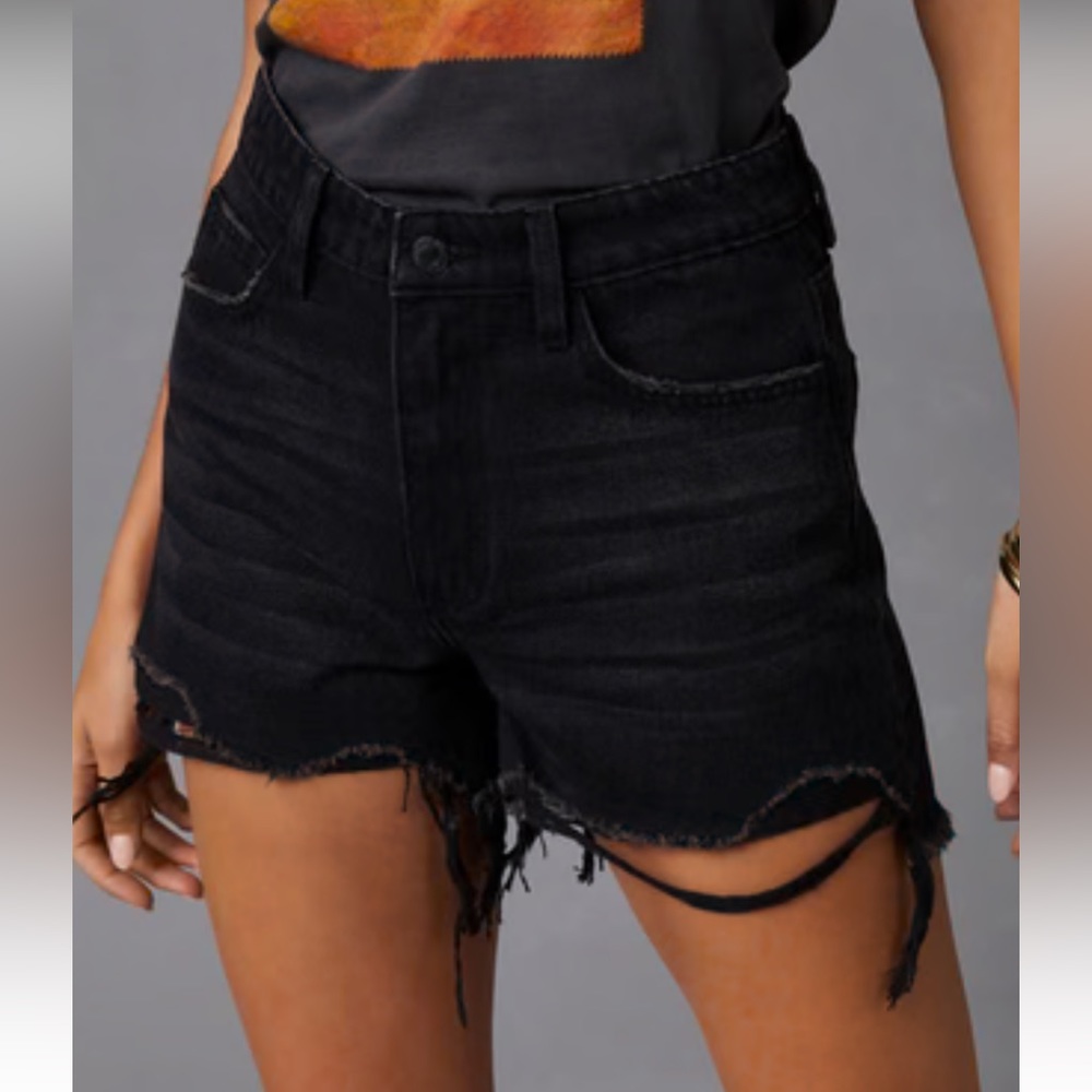 NWT VICI Vervet Relaxed Shorts XS / 24